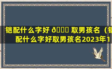 铠配什么字好 🐎 取男孩名（铠配什么字好取男孩名2023年12月26日出生）